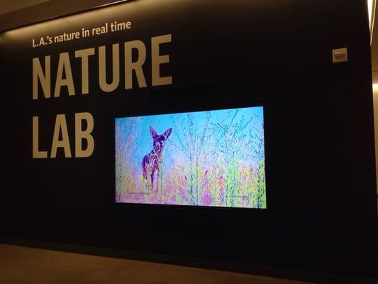 Nature Center And Gardens