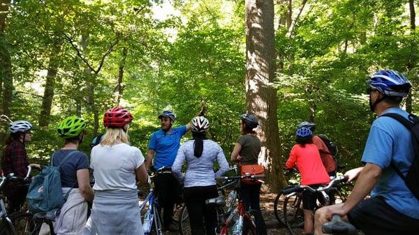Bike the Big Apple Tours