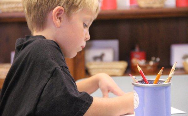 Wilson Montessori Academy