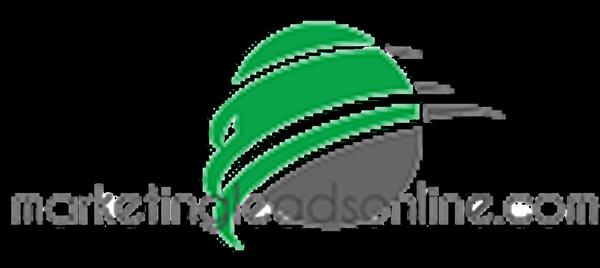 Diversified Business Consulting Marketing Leads Online