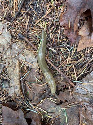 Dash Point State Park