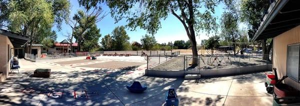 Before we added grass