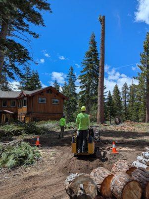 Skyline Tree Service