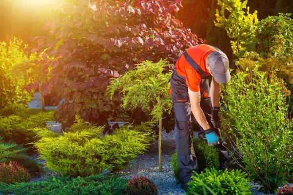 Azul Landscaping