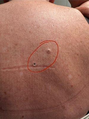 Water's Edge Dermatology