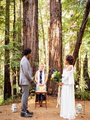 Marry Me In Santa Cruz