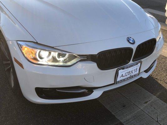 Black Crown Collision