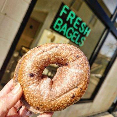 Blueberry bagel