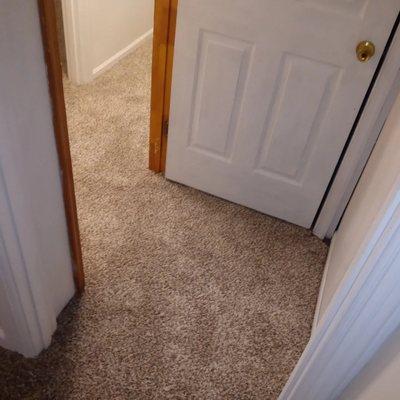 Freddy Wolfe's Services