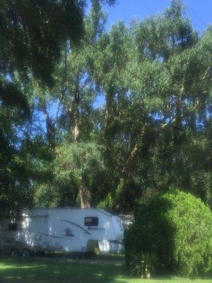 Tanglewood Gardens RV Park