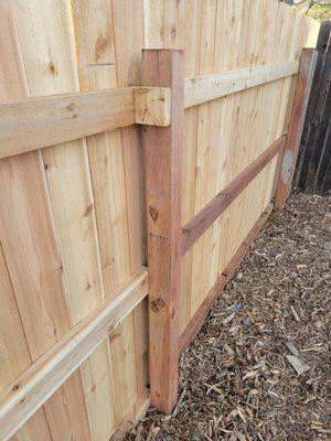 Elevated Environments