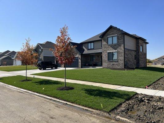 Complete, professional landscape maintenance and lawn care services from Green Effects.