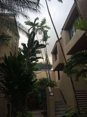 Between some of the buildings