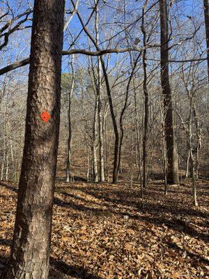 William B Umstead State Park