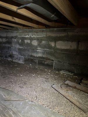 Good To Go Inspections