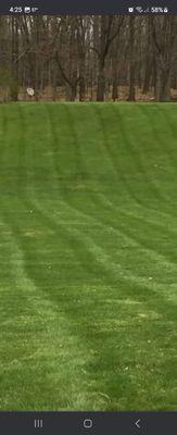 T&R Lawn Care
