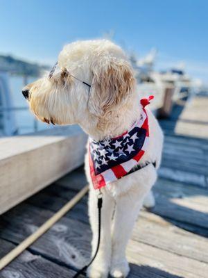 Baci x Happy birthday, Merica!!