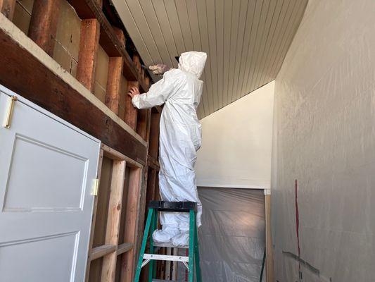 Clear Coast Restoration