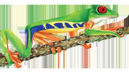 Pearson Tree Service