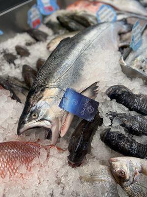 Avenue U Fish Market