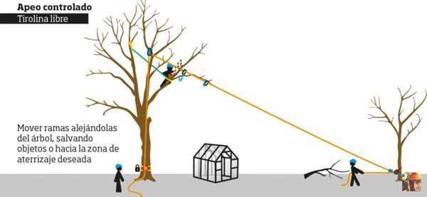 Nampa tree removal service