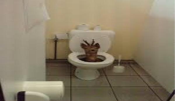 MCS Noble Middle School