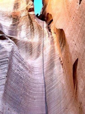 Red Desert Adventure