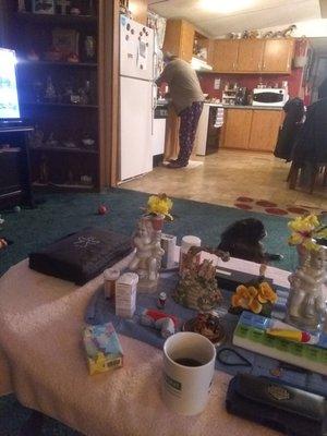 Treehaven Mobile Home Park