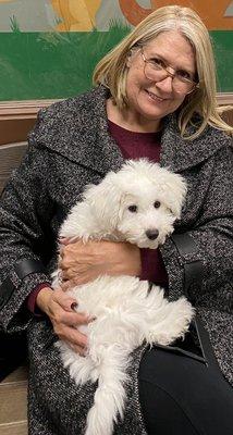 The Family Puppy - Genesee Valley Center