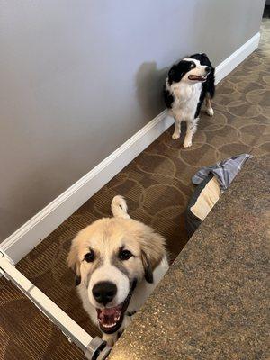 First Dental Of Huntersville