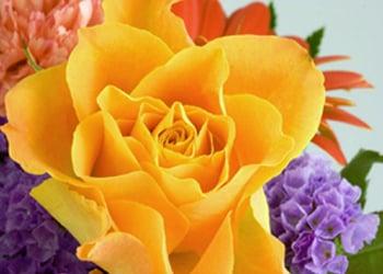 The Front Porch Flowers & Gifts