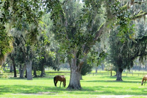 Always A Breeze Boarding STBL