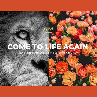 Join us on Sundays at 9 AM or 11 AM - Bring the whole family, and experience the New Life that Jesus gives.