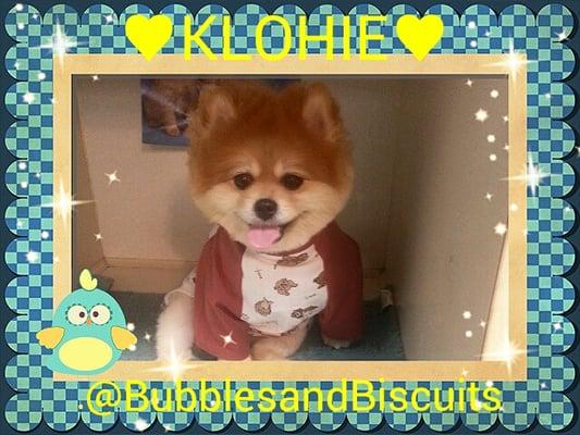 Bubbles And Biscuits