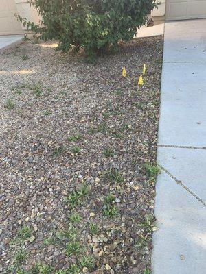 Alliance Landscaping