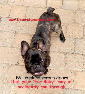 Need a new screen door? We are here to replace or repair. text or call 623.237.2781 Desert Sunscreens.com