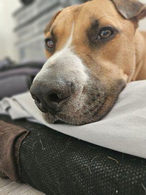 EMBR Dispensary - La Mesa