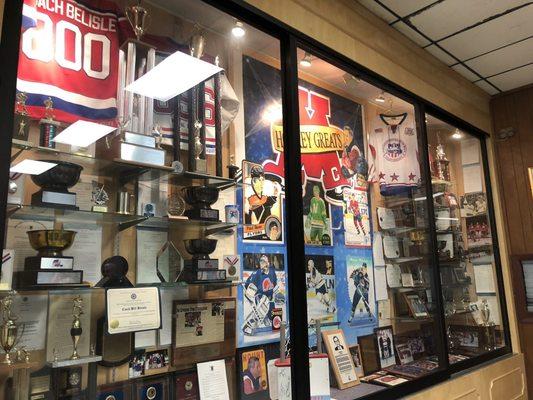 Mount St. Charles Adelard Arena