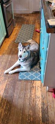 The Chadwick Bed & Breakfast