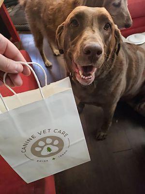 Canine Vet Care