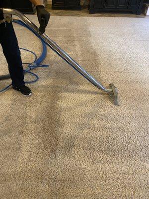 Paradise Carpet Cleaning & Upholstery