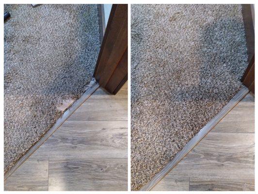 Nite & Day Carpet Cleaning & Repair
