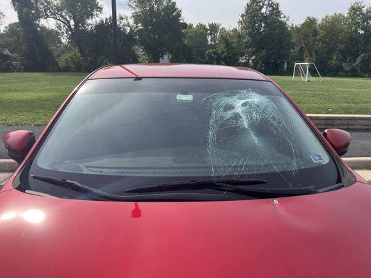 Mobile Auto Glass Service