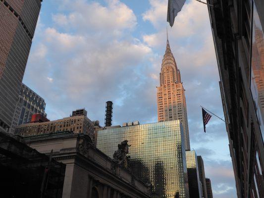 Joanne Ratner Search