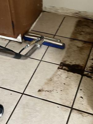 Cargnel's Cleaning Service