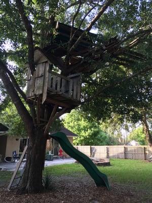 Word of Mouth Tree Service