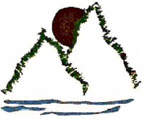 Sustainable Goods for Modern Times