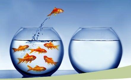 Rapid Transformational Therapy - Advanced Hypnotherapy