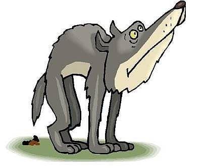 Squat Squad Canine Waste Management