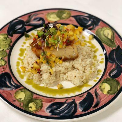 Chillean Sea Bass, coconut rice, pineapple mango salsa and a cilantro lime reduction